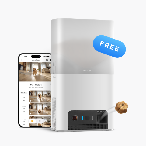 Lite Bundle