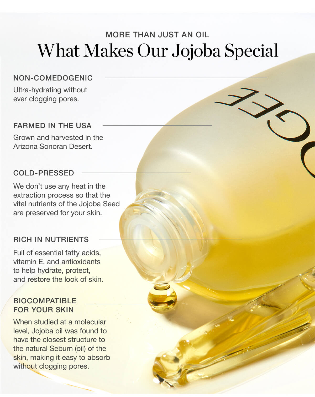 What Makes Our Jojoba Special