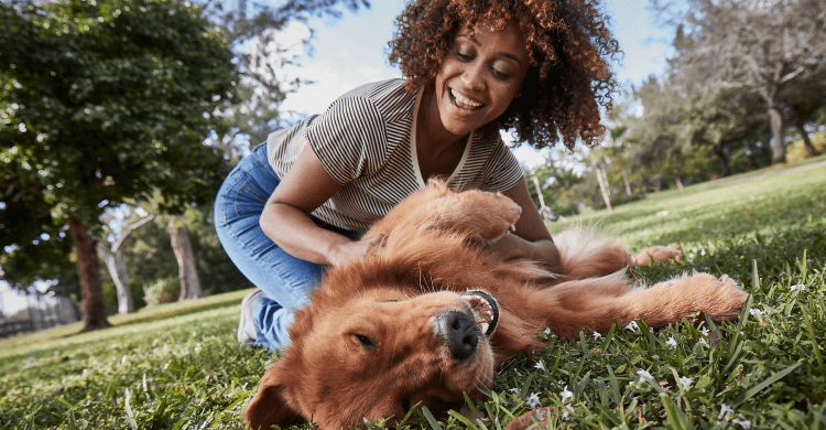 Happy Dog Image