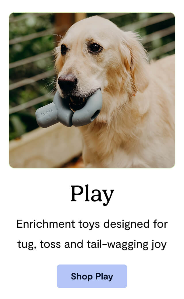 Play: Enrichment toys designed for tug, toss and tail-wagging joy