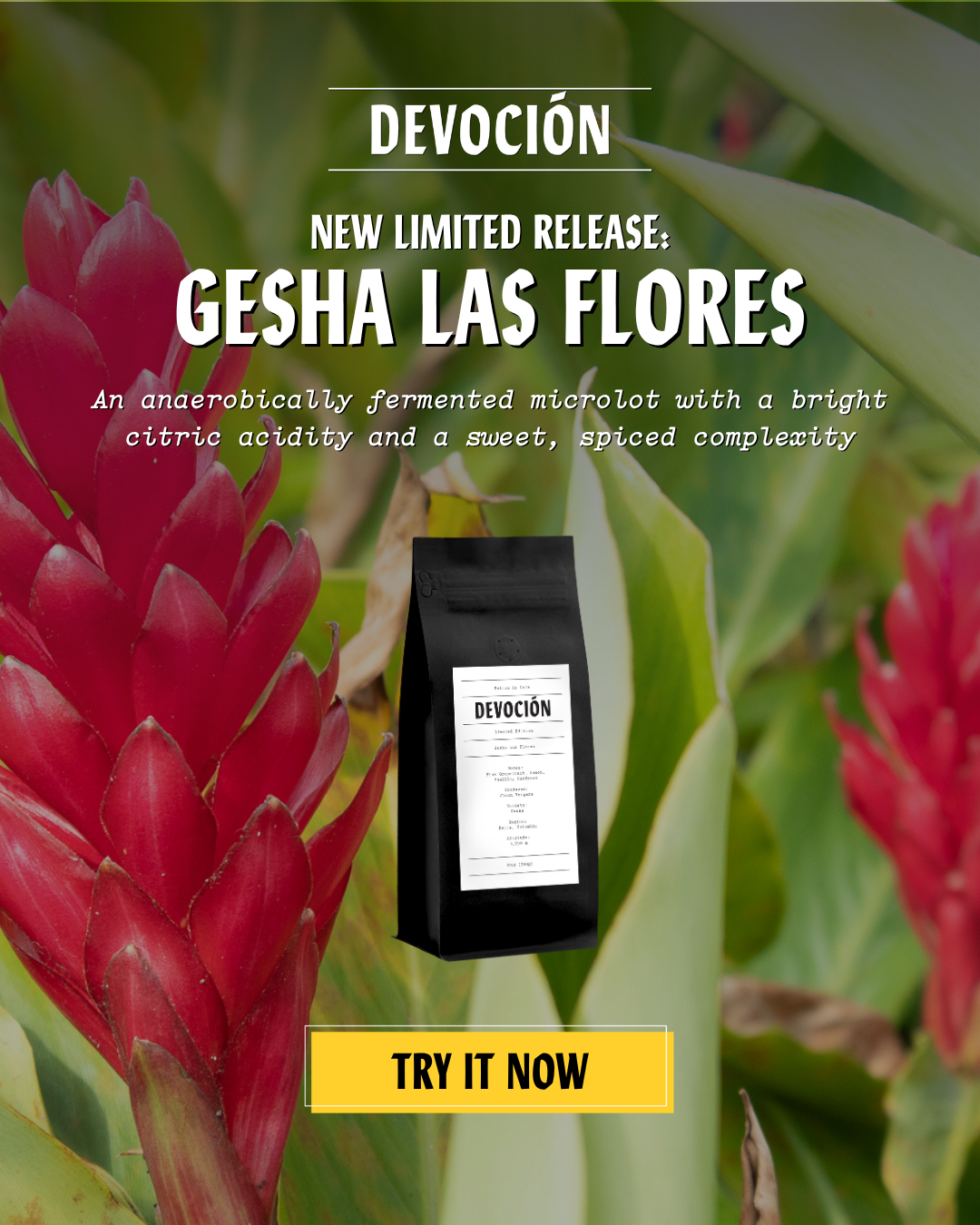 New Limited Release: Gesha Las Flores