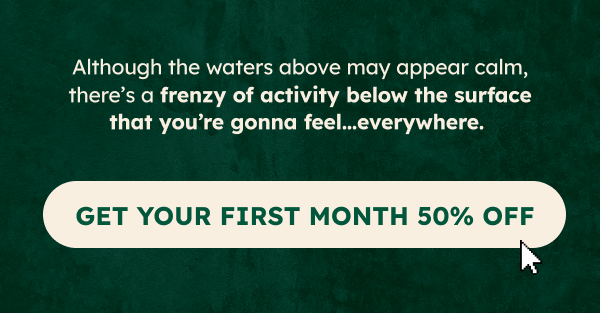 Get Your First Month 50% Off