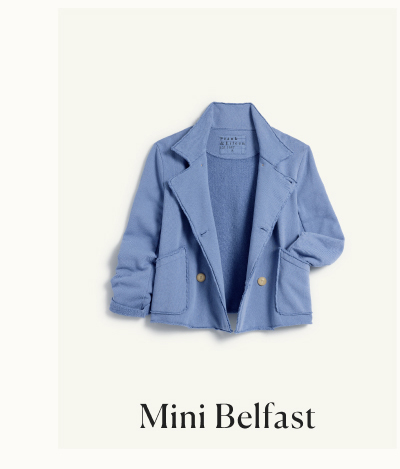 mini belfast