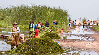 Senegal clean up