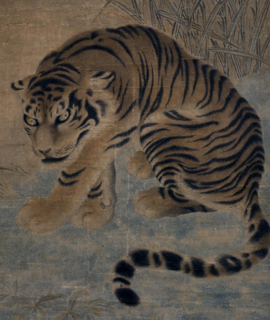 Crouching tiger among reeds.