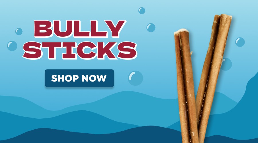bully sticks - shop now
