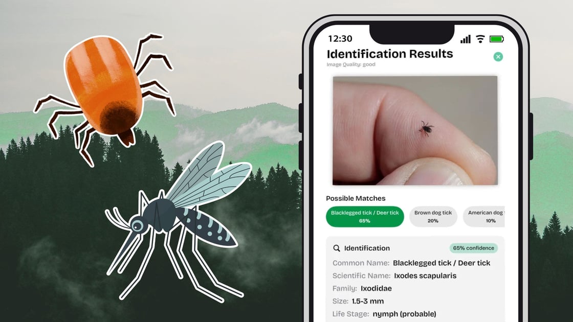 vector-guard-app-featured