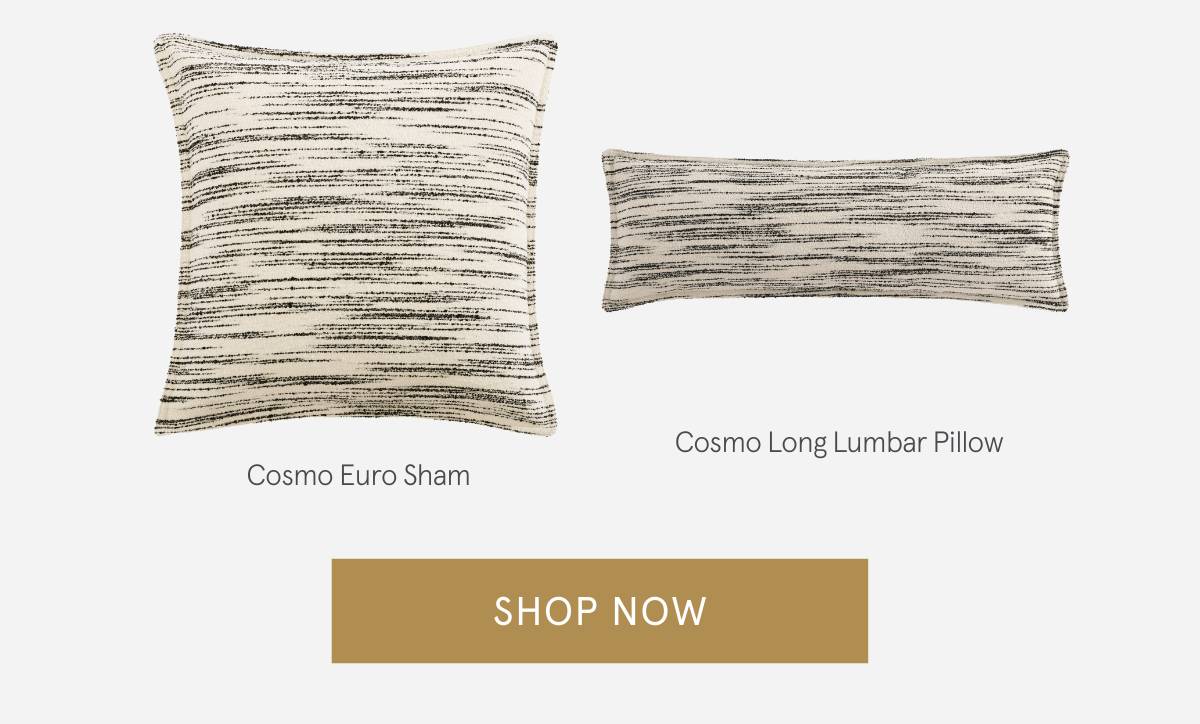 Cosmo Euro Sham & Lumbar Pillow