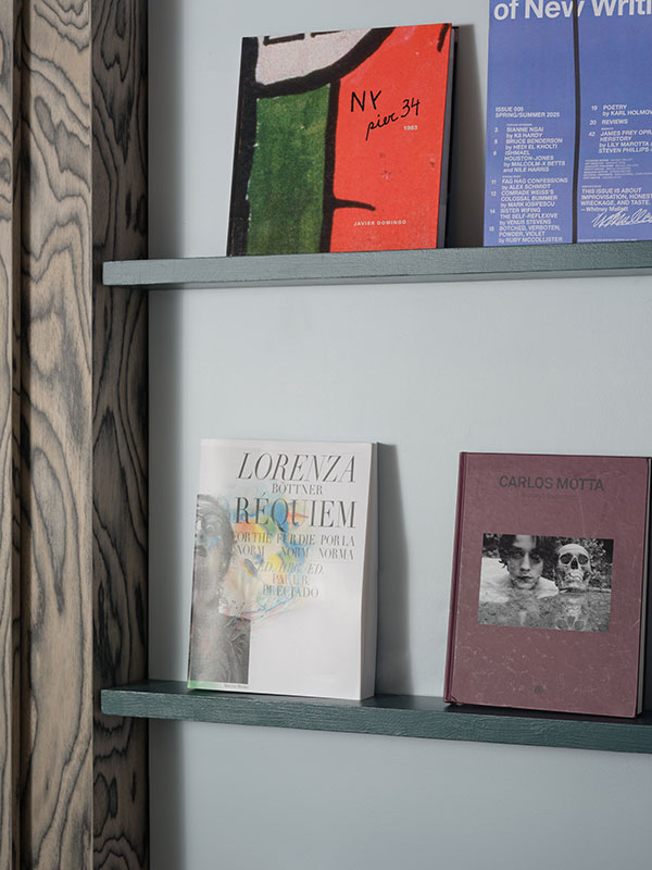 A close-up shot of two dark green shelves set against a light blue-grey wall, displaying several books and magazines. On the top shelf, a magazine with a red cover and abstract art is prominent. Below, on the bottom shelf, two books stand side-by-side: 