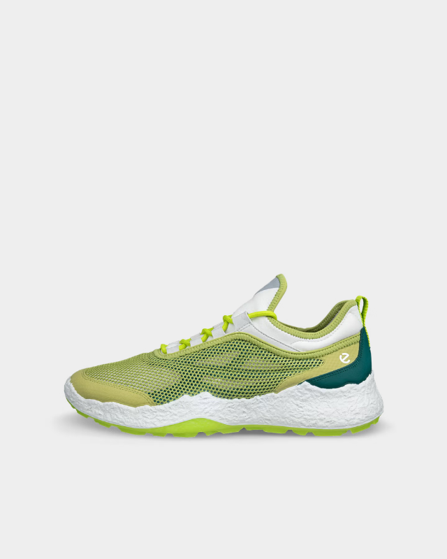 ECCO Golf Biom H5