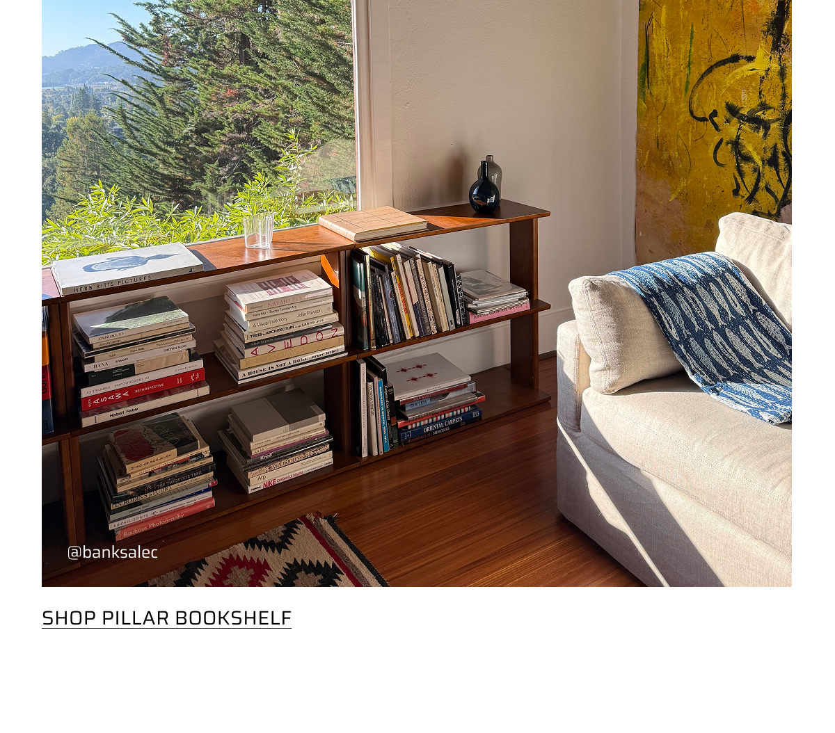 Shop Pillar Bookshelf