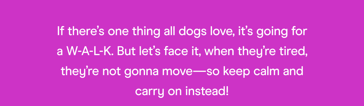 Carry On