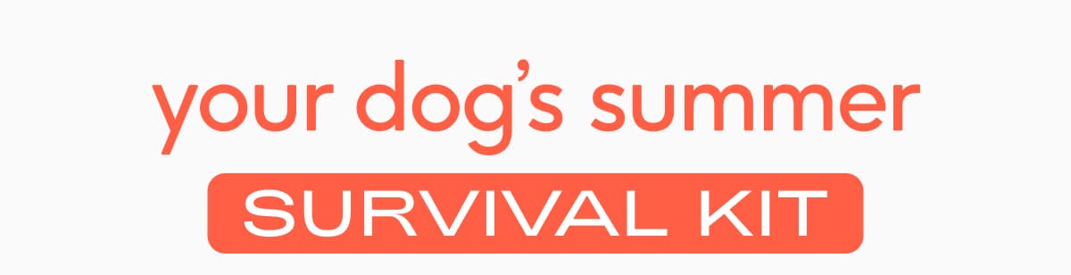 your dog’s summer survival kit