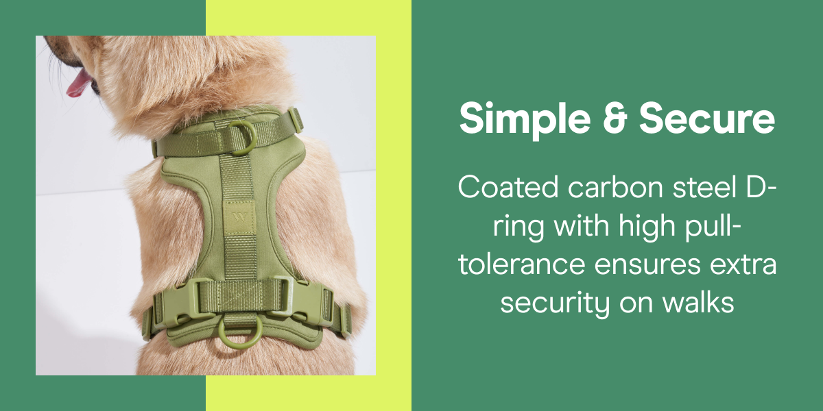 Simple & Secure Coated carbon steel D-ring with high pull-tolerance ensures extra security on walks