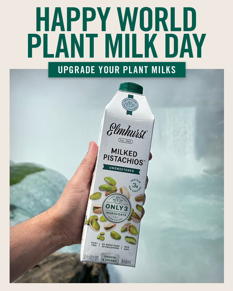 Happy World Plant Milk Day | Upgrade Your Plant Milks