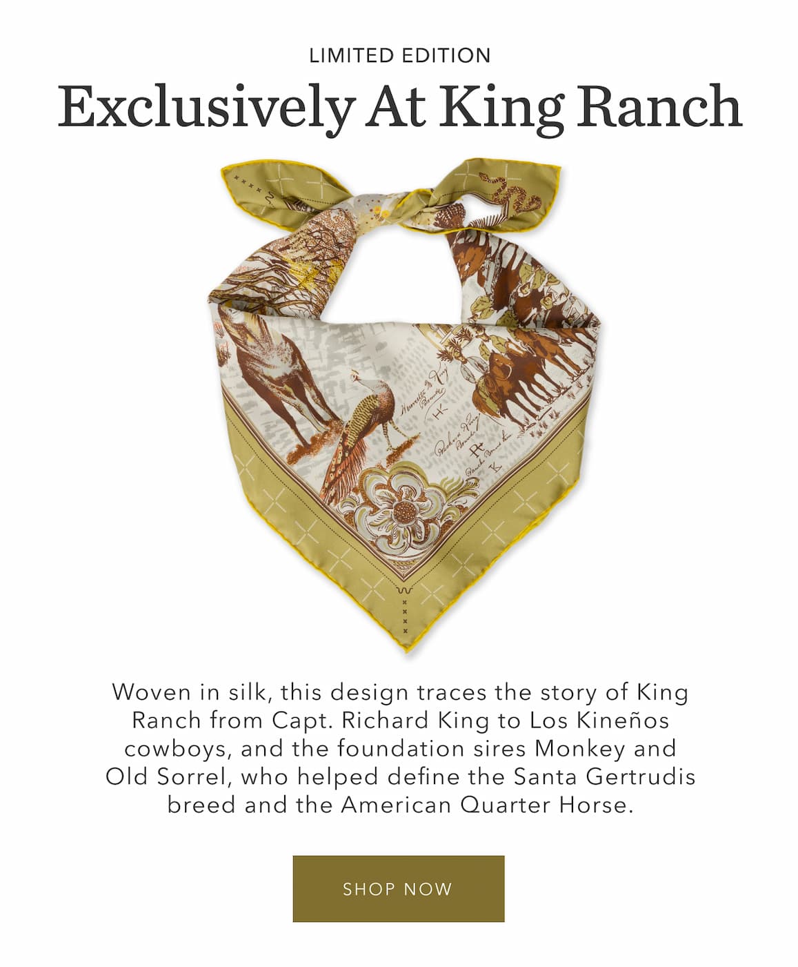  King Ranch Heirloom Scarf