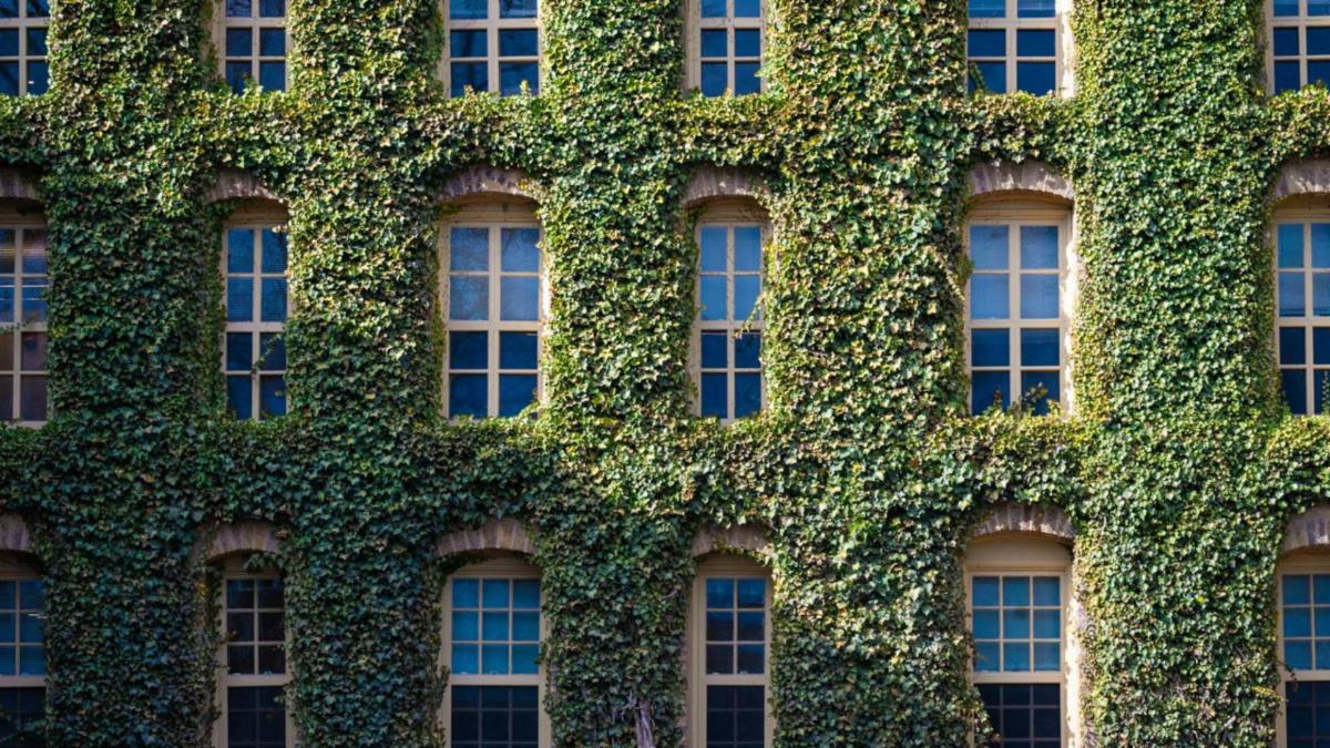 Nassau Hall Windows