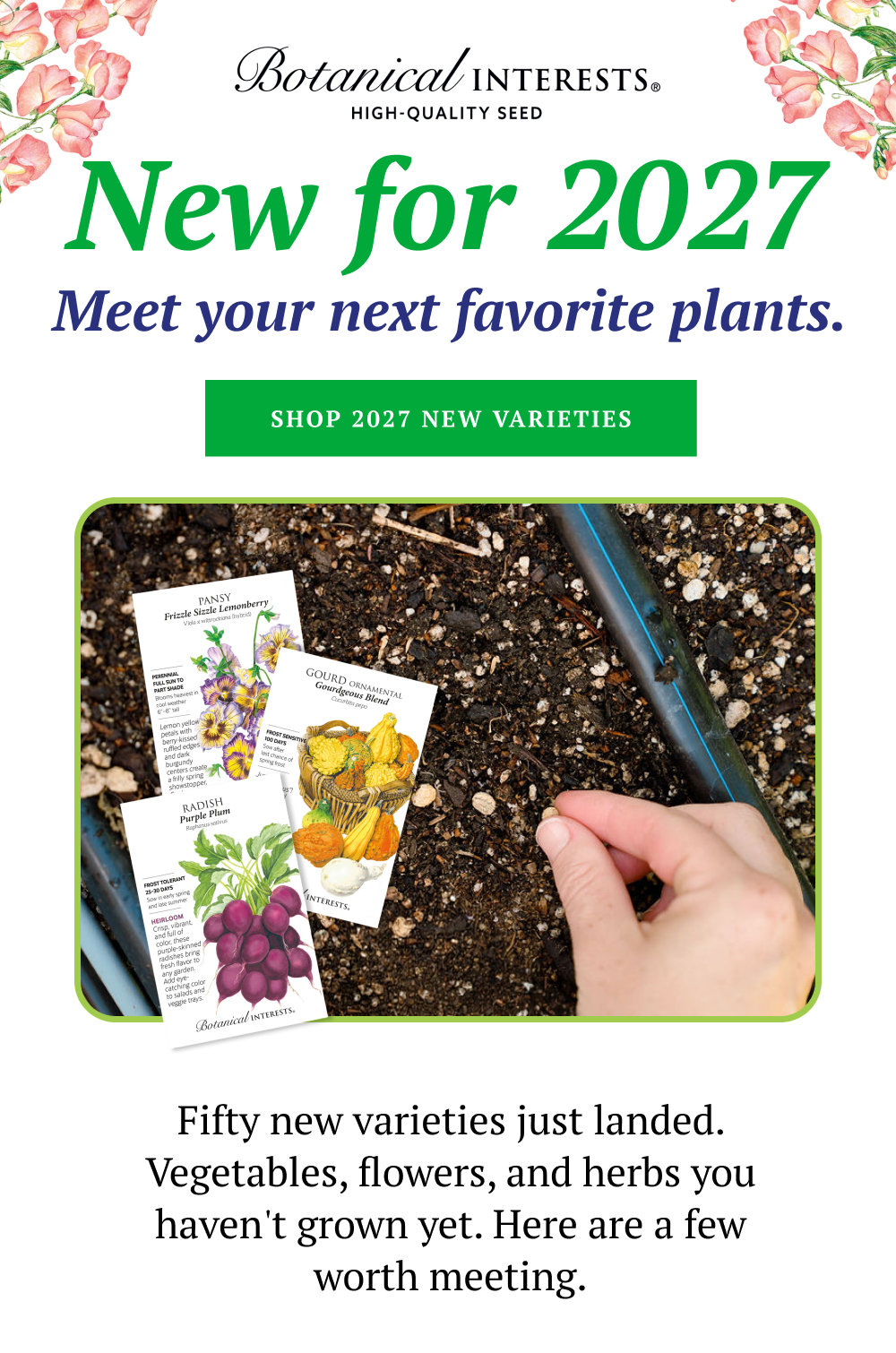 Fifty new varieties just landed. Vegetables, flowers, and herbs you haven't grown yet. Here are a few worth meeting.