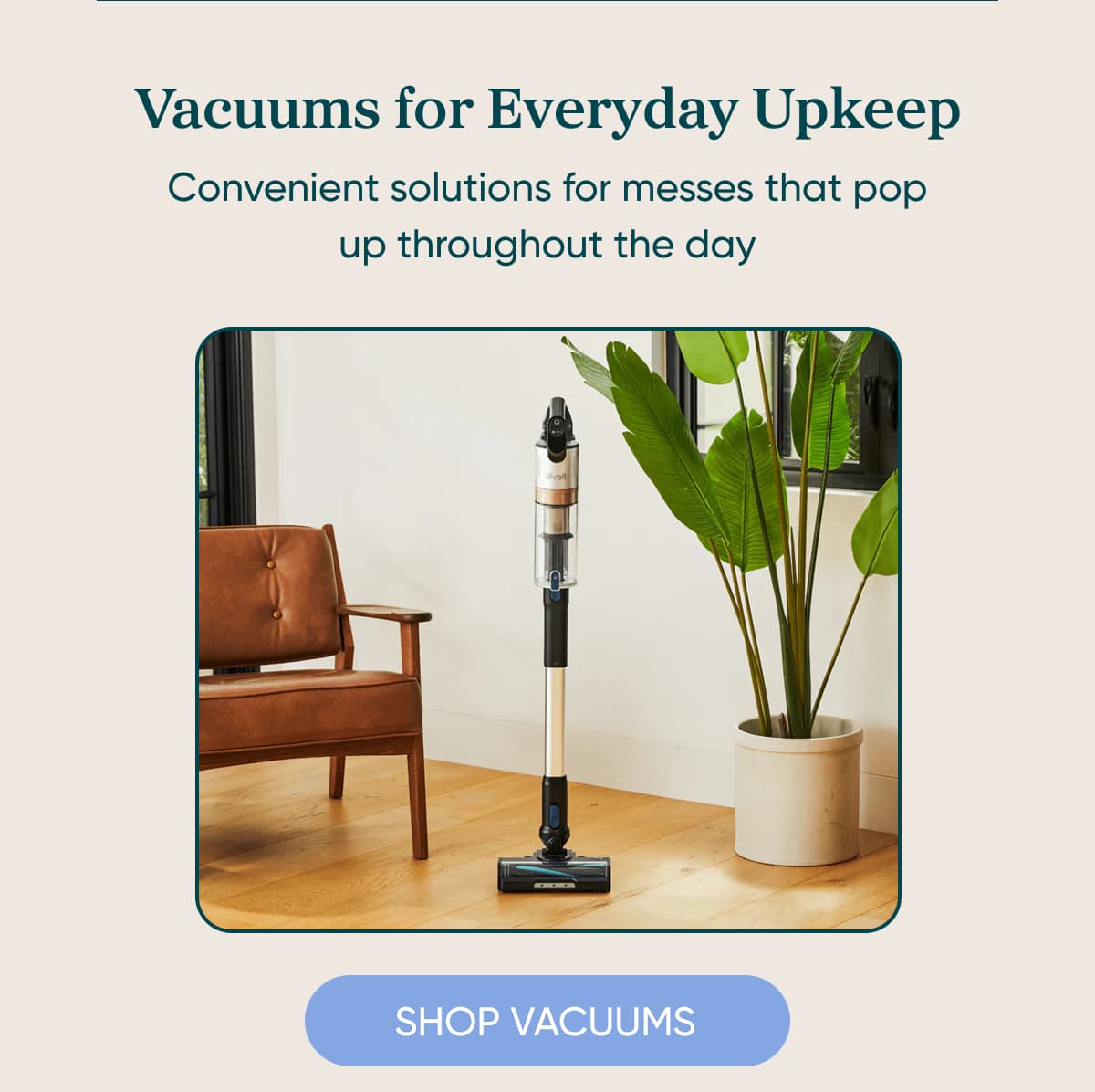 Vacuums for Everyday Upkeep