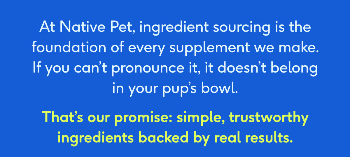 At Native Pet, ingredient sourcing is the foundation of every supplement we make.