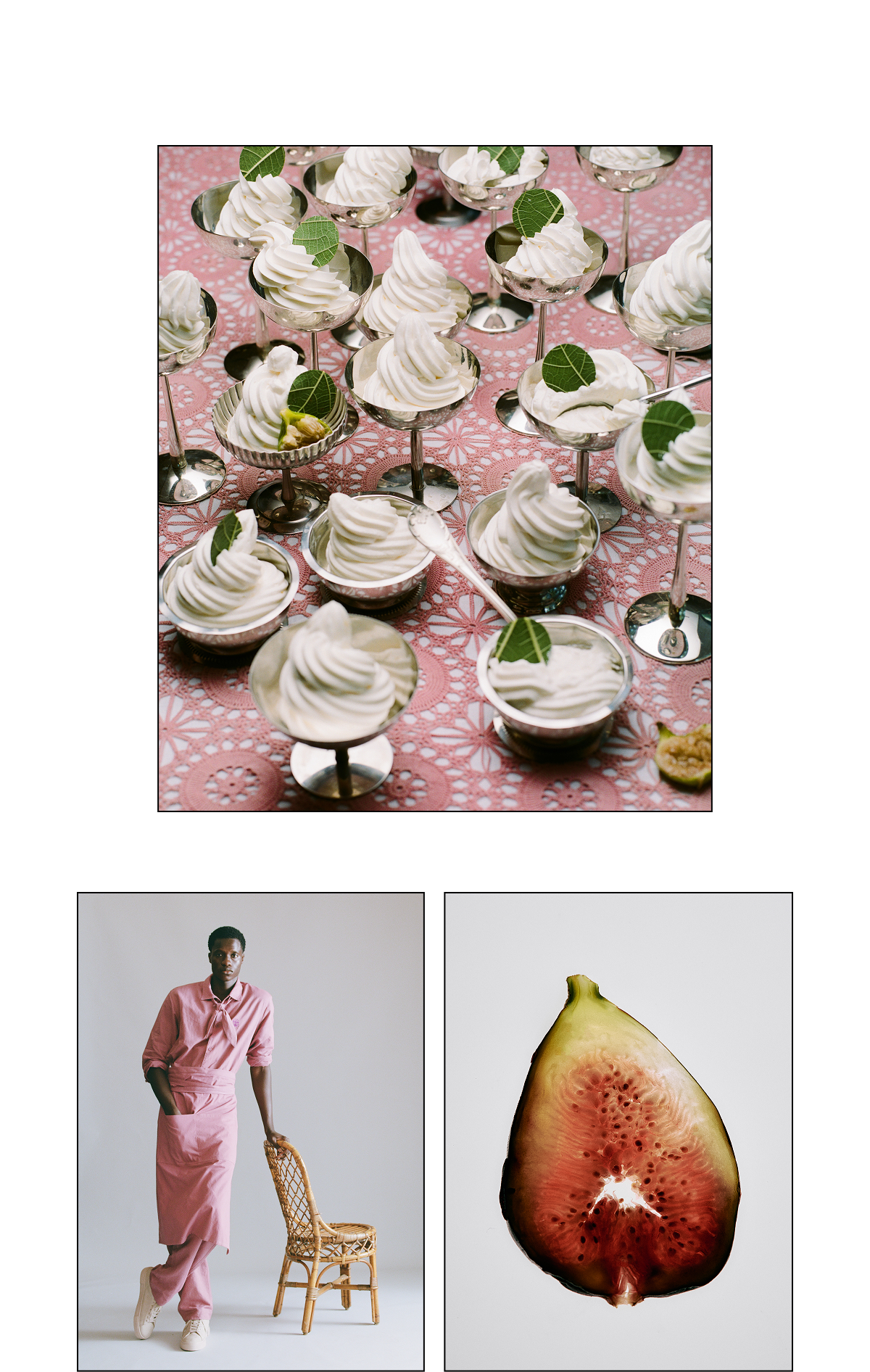 Fig and Fennel