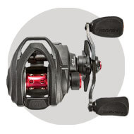New Reels