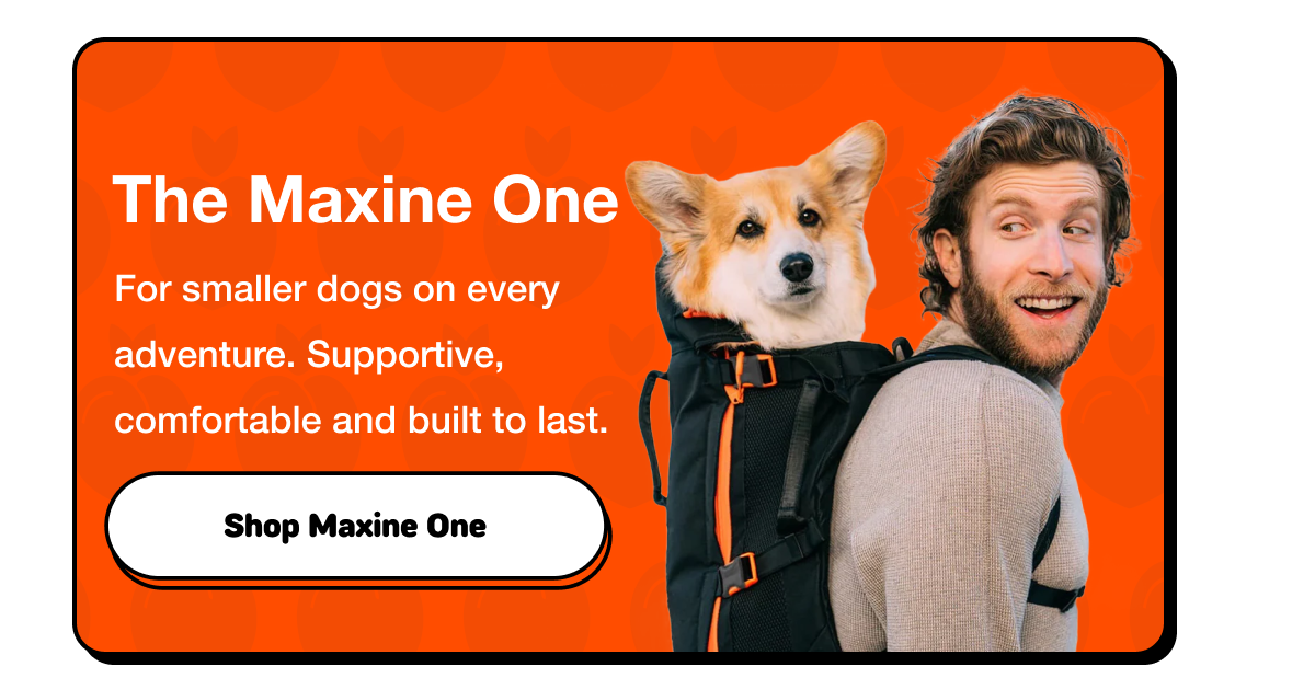 Maxine One