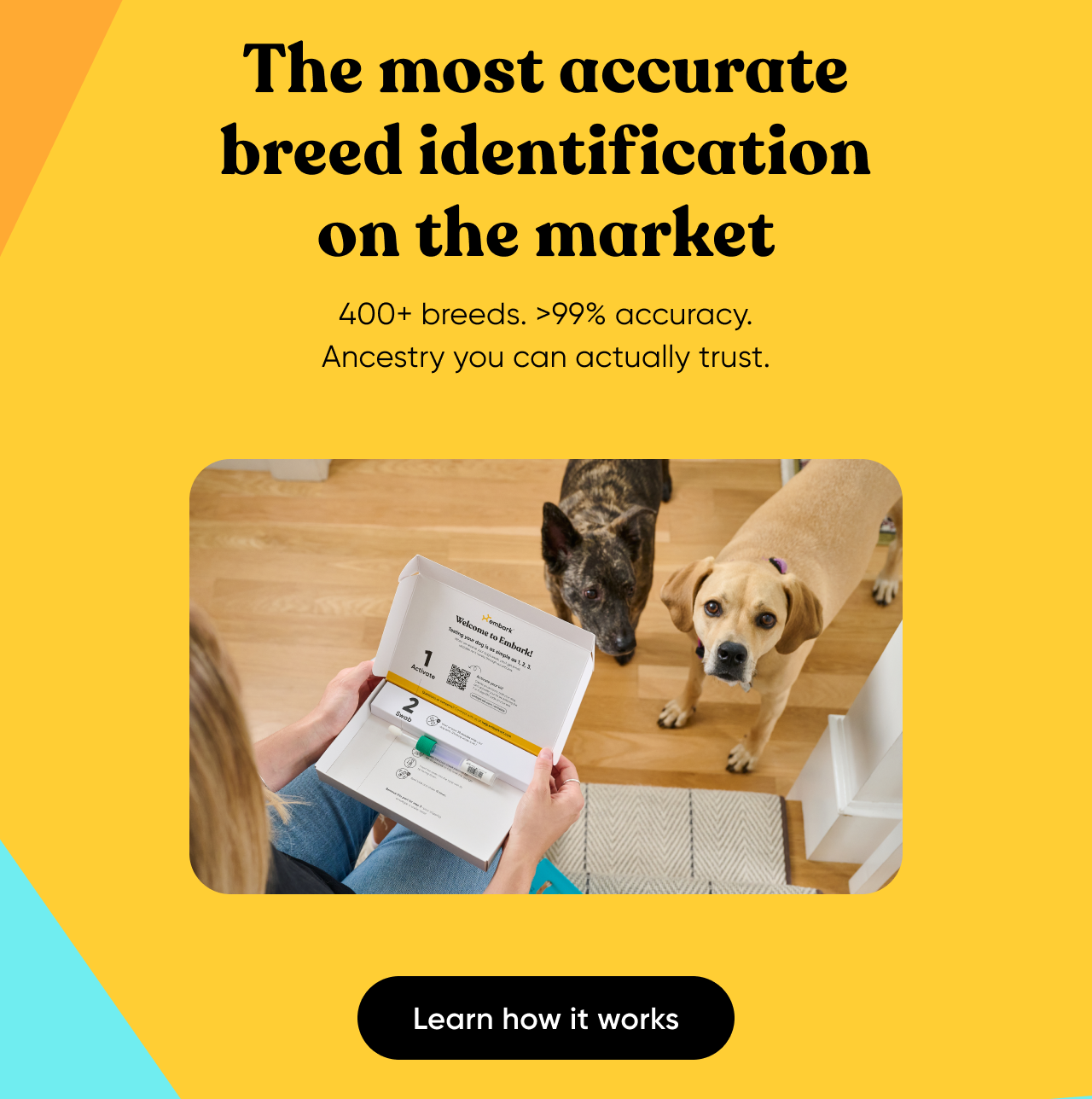 The most accurate breed identification on the market. 400+ breeds, 99% accuracy. Ancestry you can actually trust. Learn how it works.