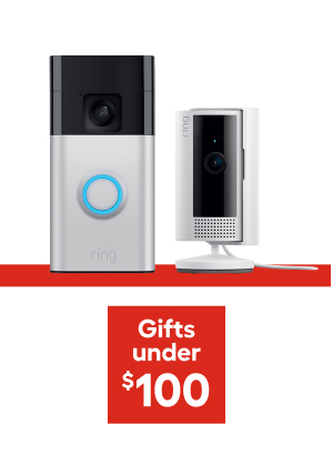 Gifts under $100