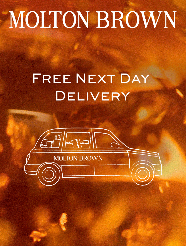 Free Next Day Delivery Banner