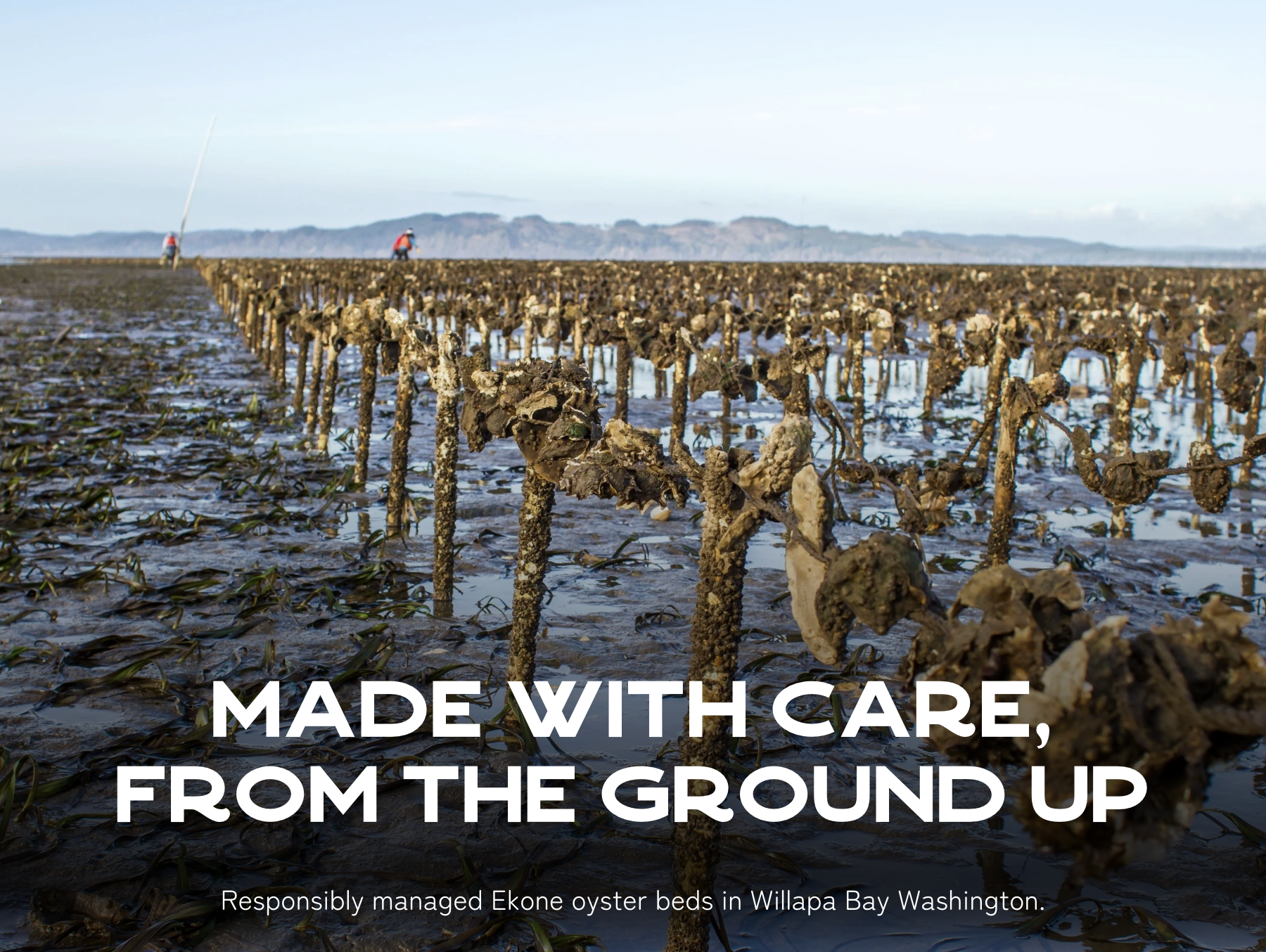 Made with Care, From the Ground Up