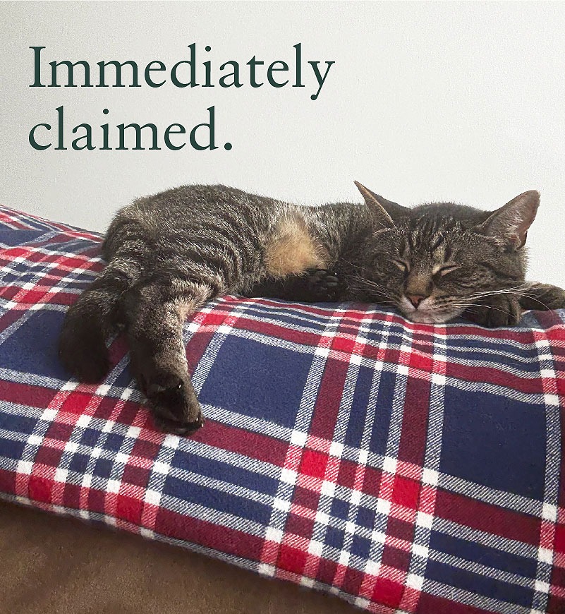 Immediately claimed.