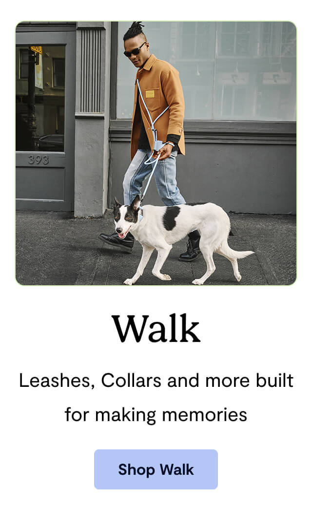 Walk: Leashes, Collars and more built for making memories