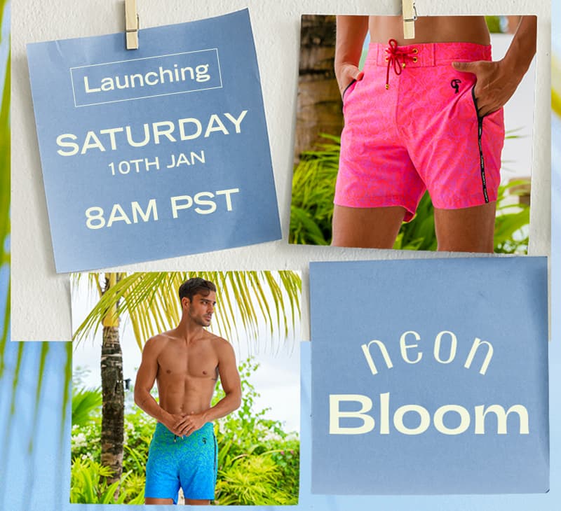 Coming soon, Neon Bloom