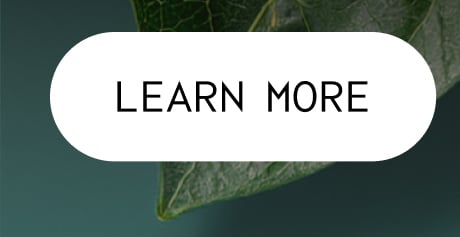 LEARN MORE