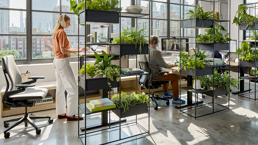 Brain Healthy Workplace