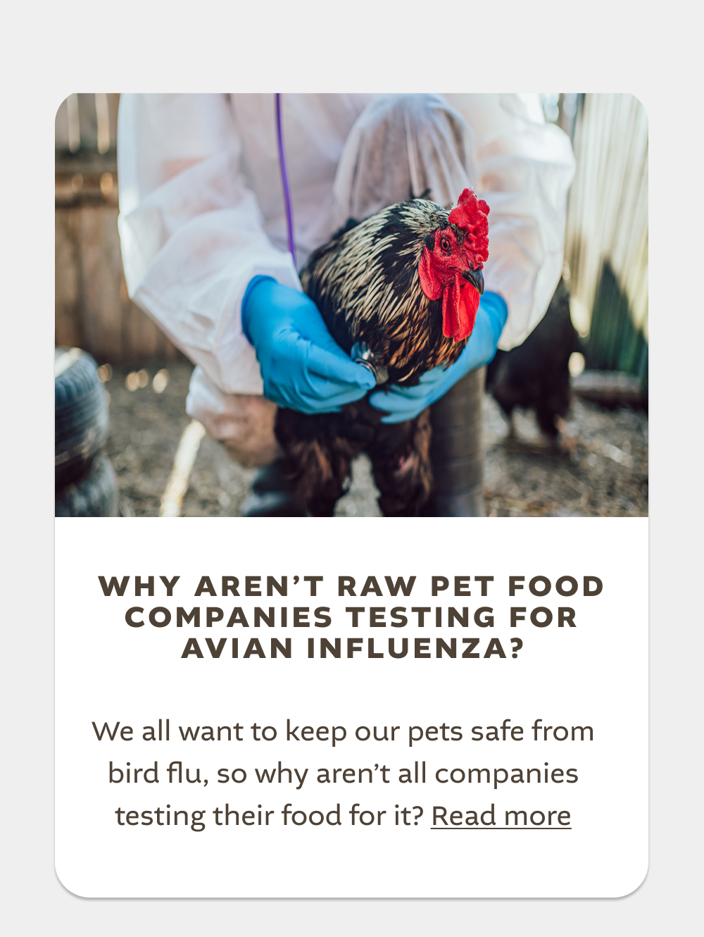 Avian influenza testing