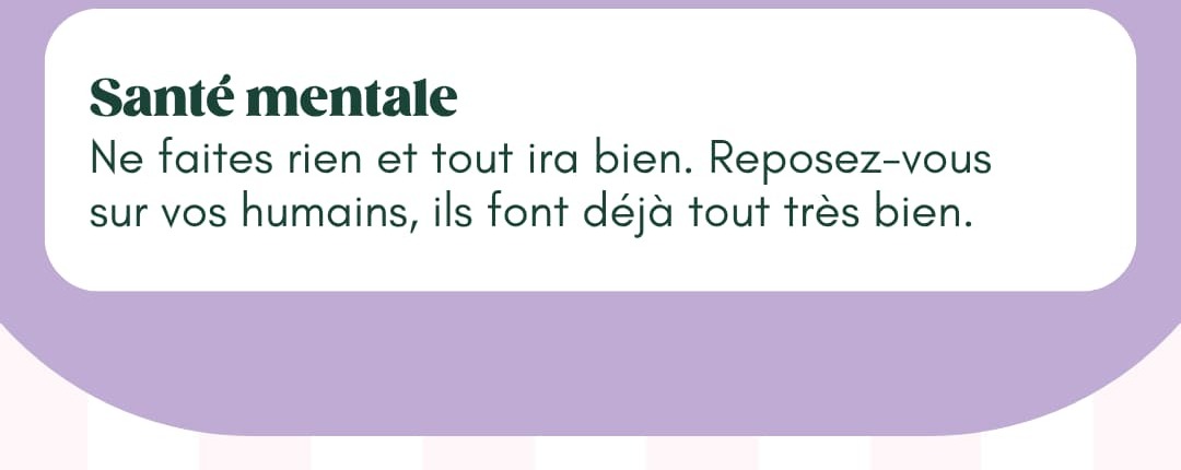 Les conseils santé de nos chats