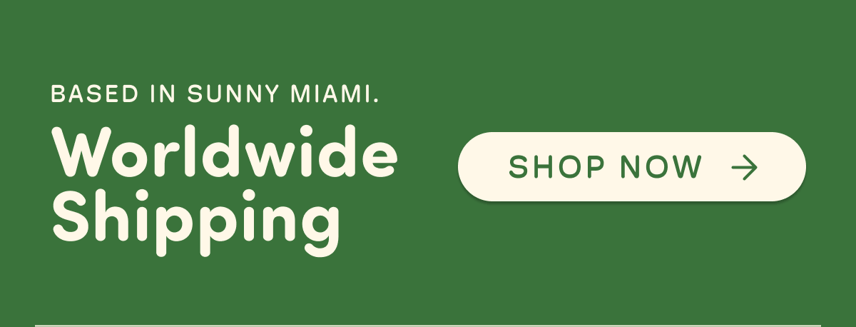 Based in Sunny Miami. Worldwide Shipping. Shop now.