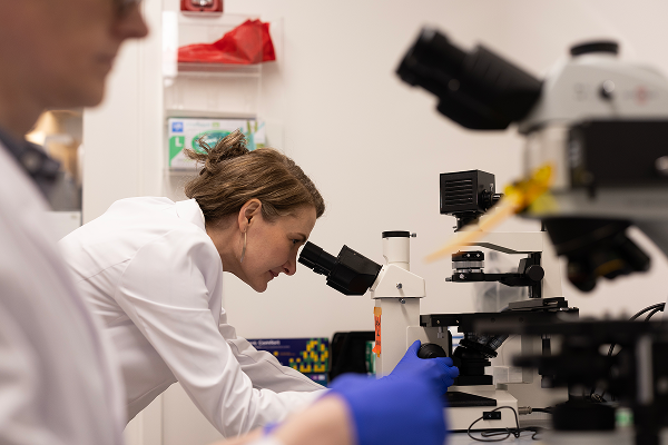 Scientists hard at work developing Bōndia.