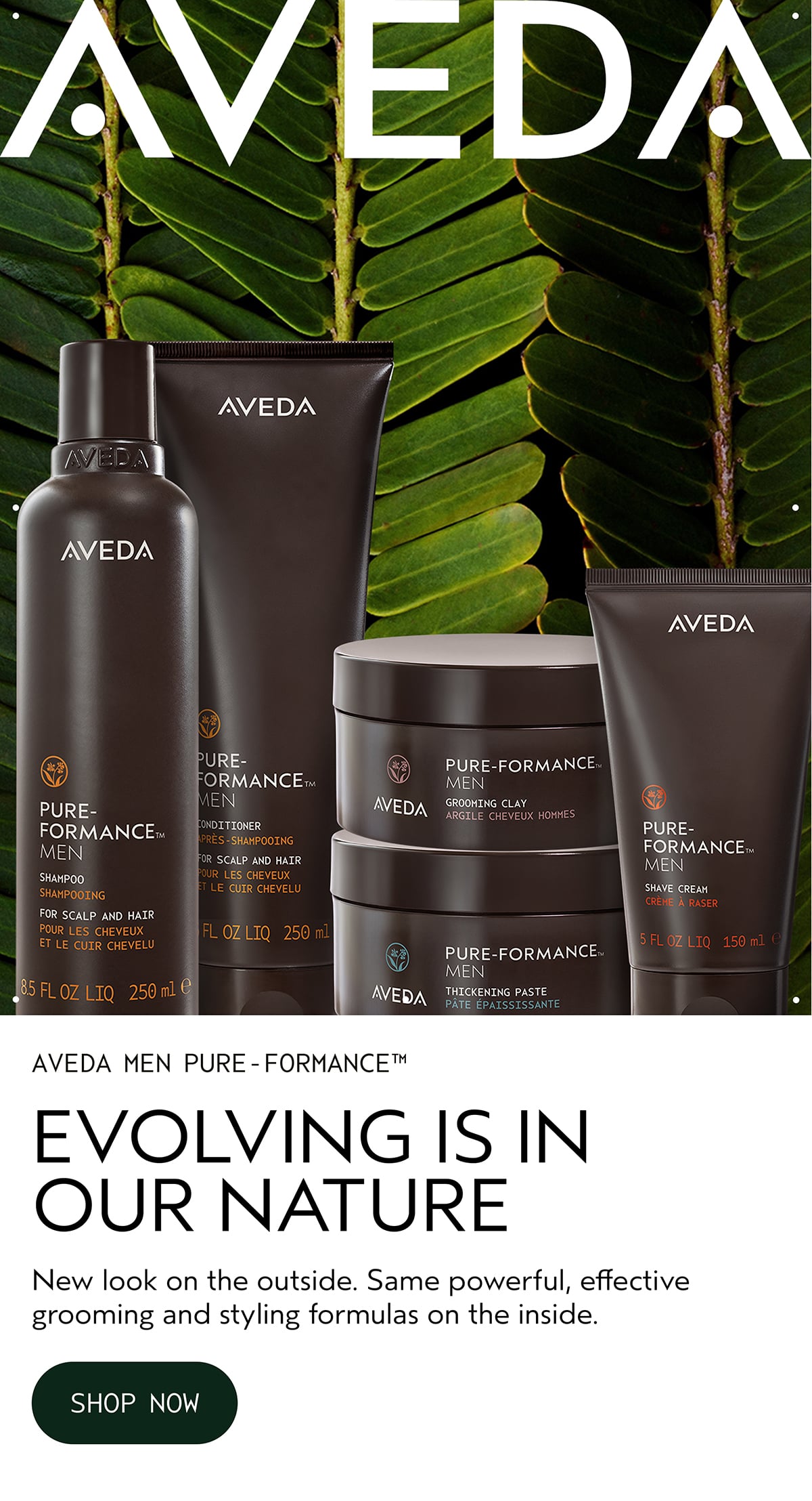 AVEDA | AVEDA MEN PURE-FORMANCE™ | EVOLVING IS IN OUR NATURE | New look on the outside. Same powerful, effective grooming and styling formulas on the inside. | SHOP NOW