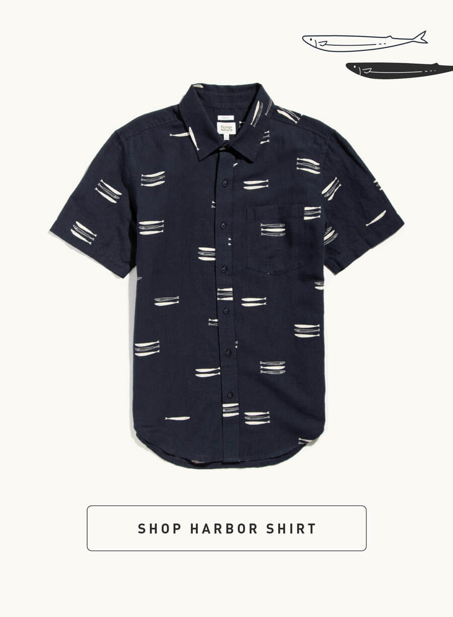 Harbor Pacific Herring Print