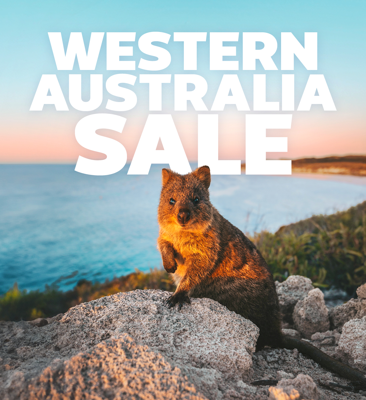 WA SALE BURST 2