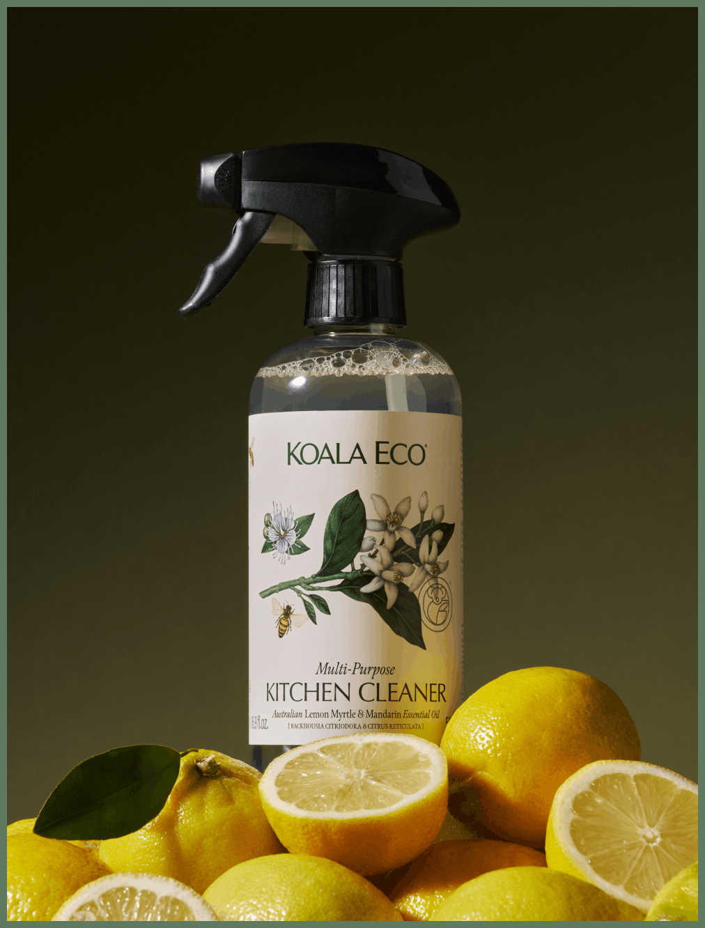 KITCHEN CLEANER