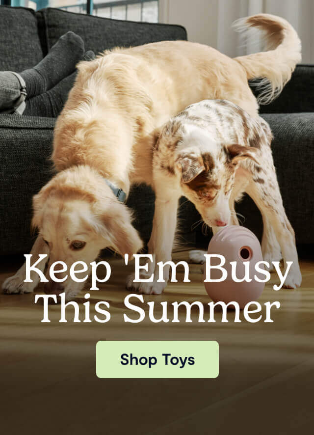 Keep 'Em Busy This Summer