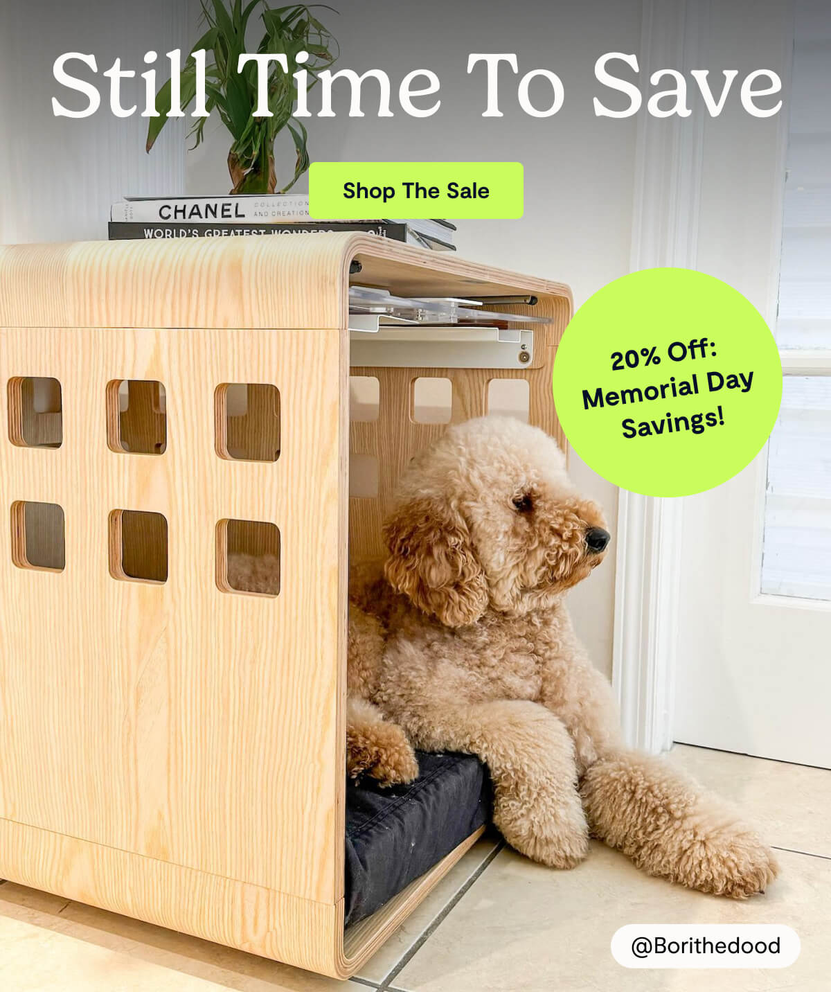 Still Time to Save