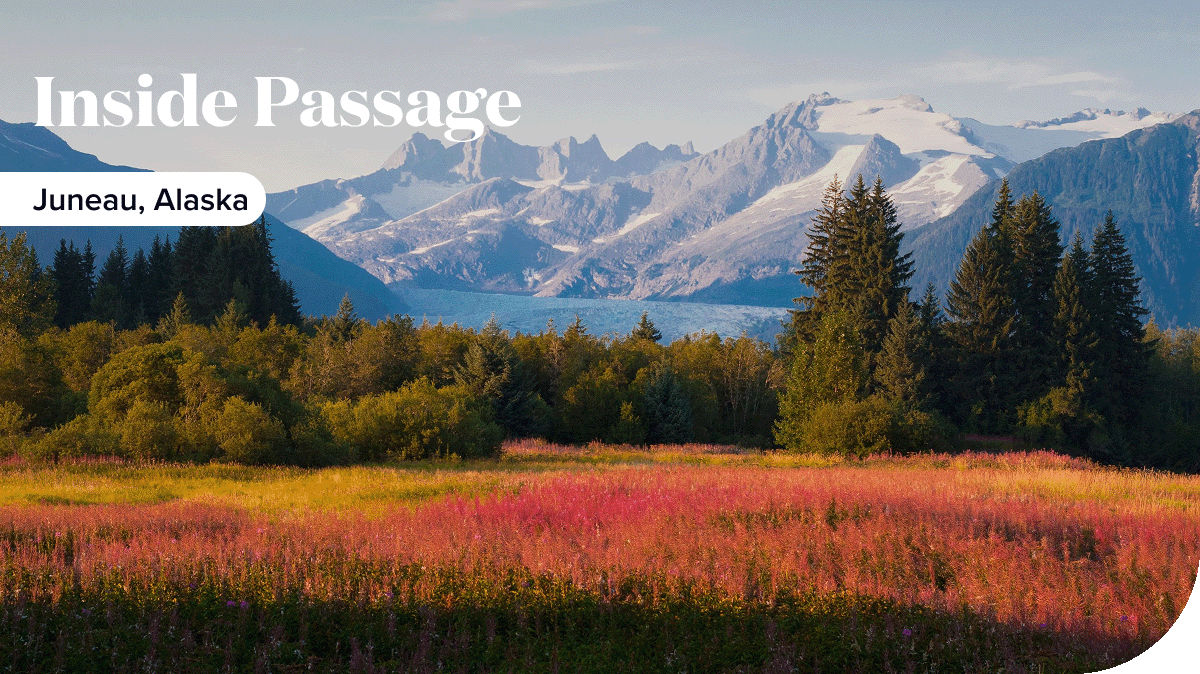 Fall colors and goldene plains in Juneau, Alaska.