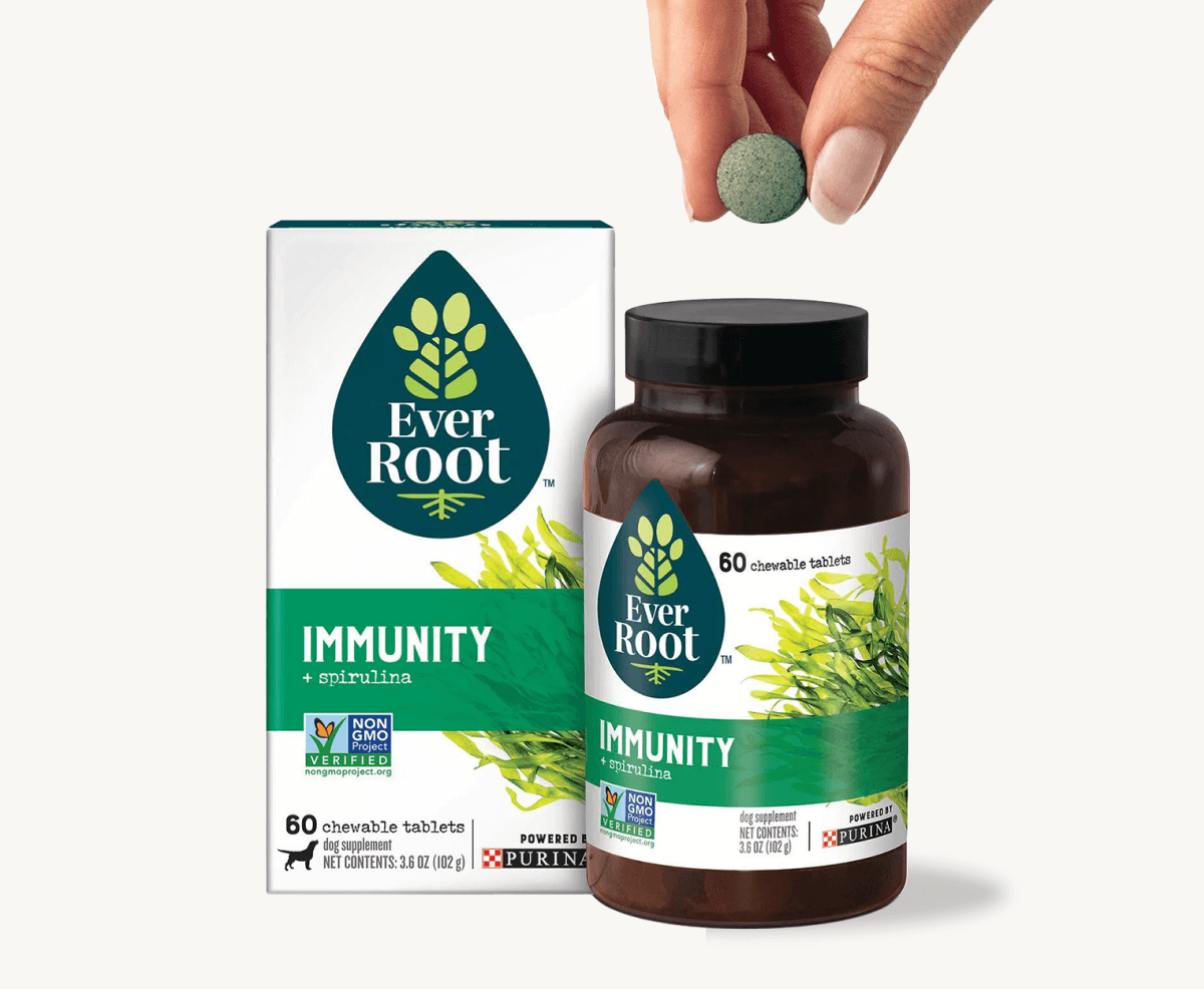 Immunity Supplement Image