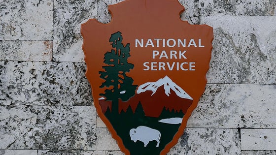 NPS