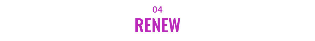 04 - Renew